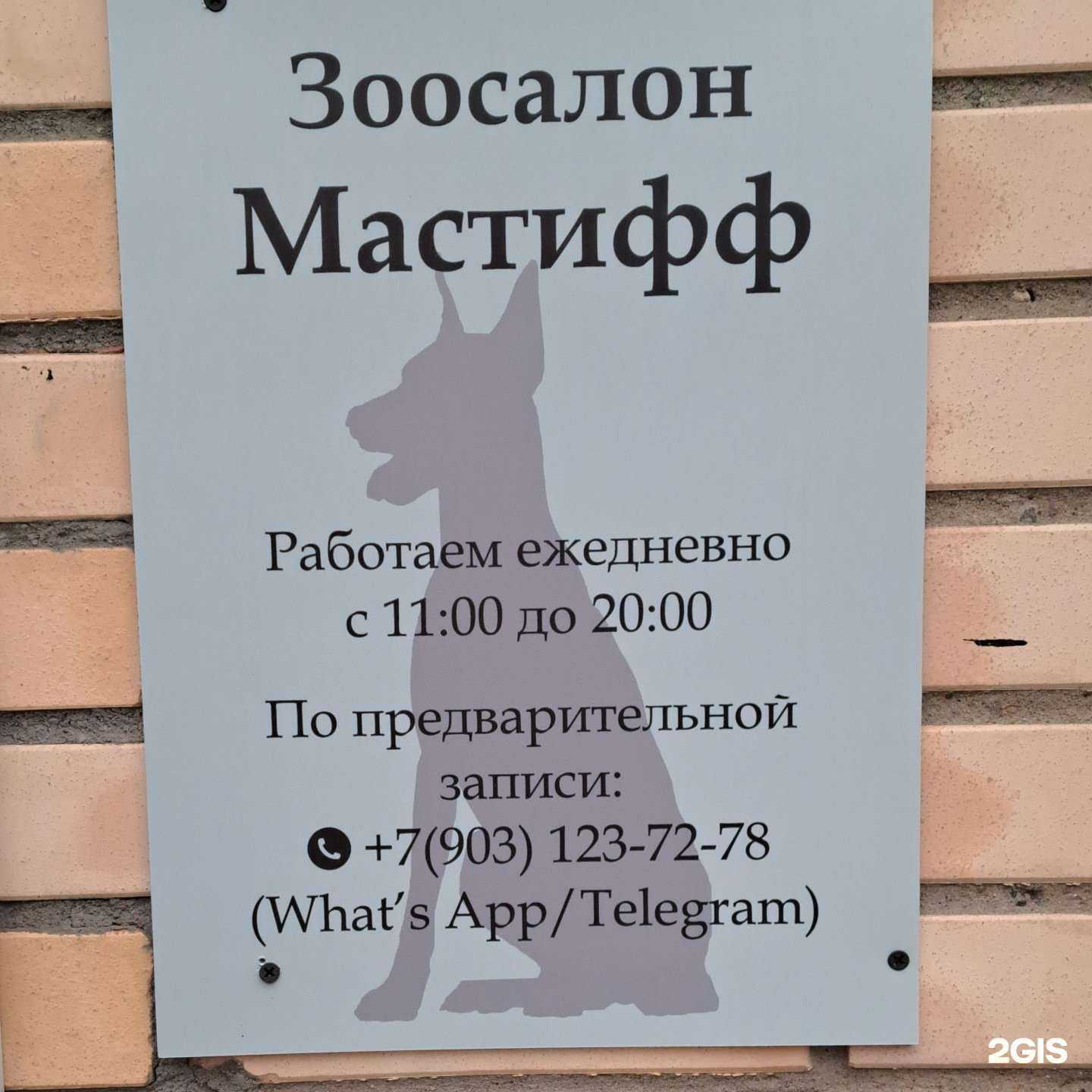 Отзывы на компанию Мастифф в г. Пушкино c фото