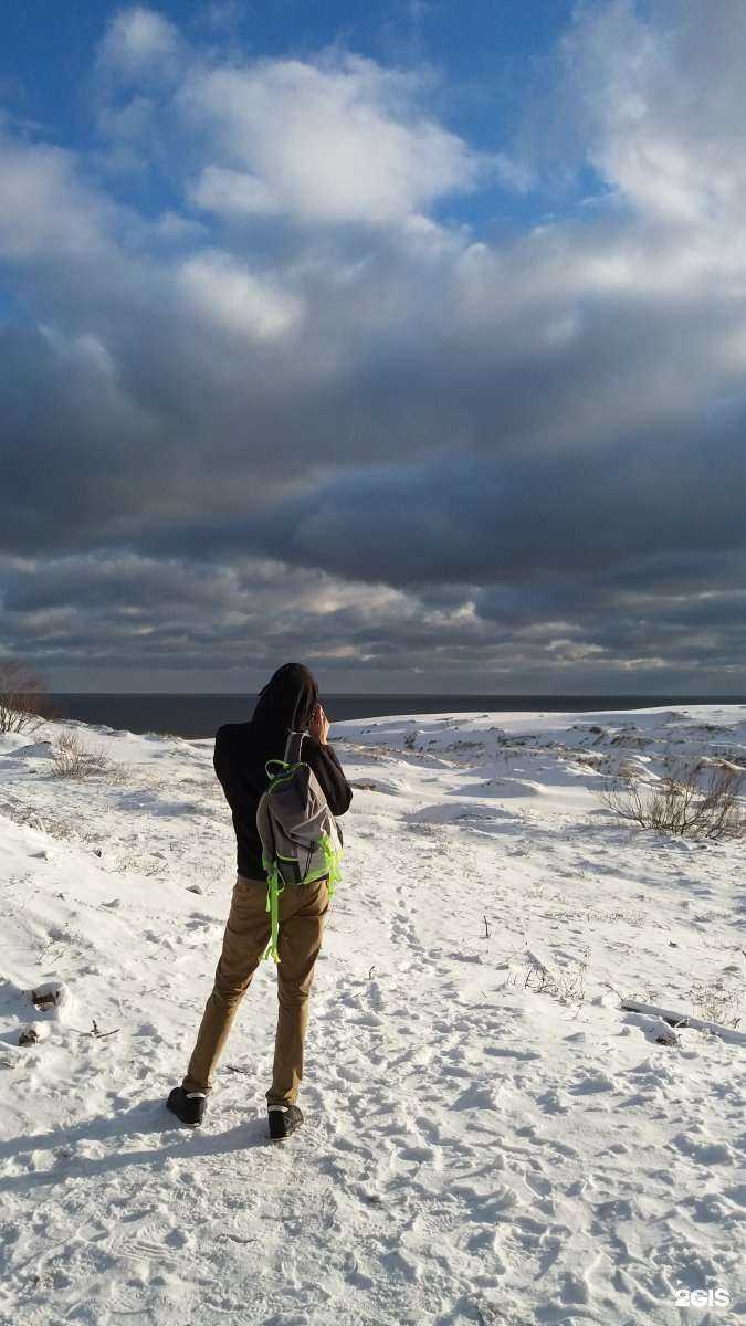 Отзывы на компанию Ист-винг в Калининграде c фото