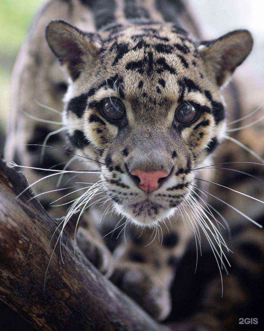 Отзывы на компанию Дата Ист в Новосибирске c фото