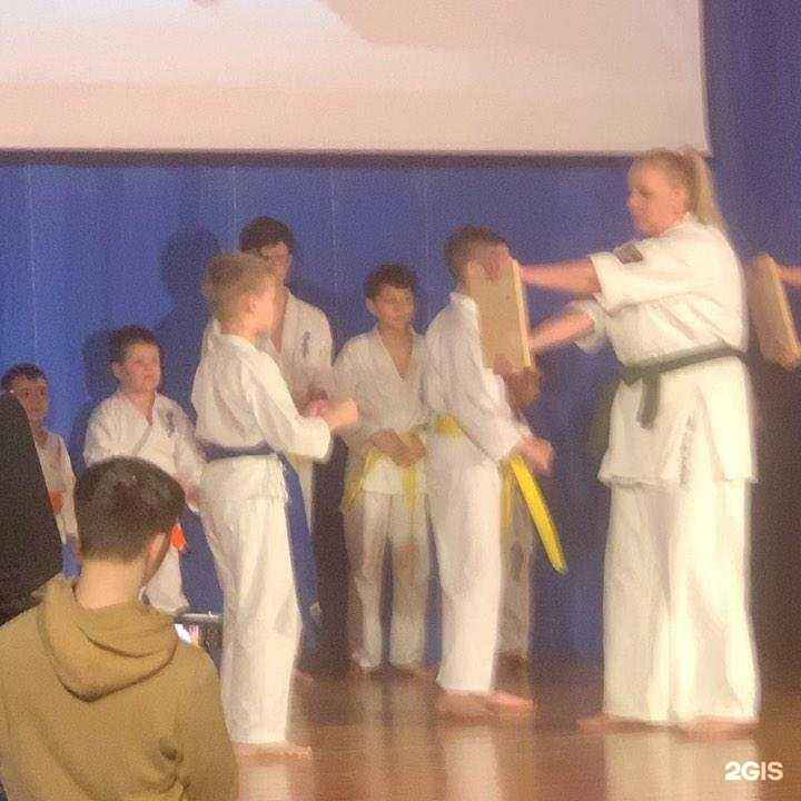 Отзывы на компанию Школа каратэ кёкусинкай-кан Республики Татарстан в Казани c фото