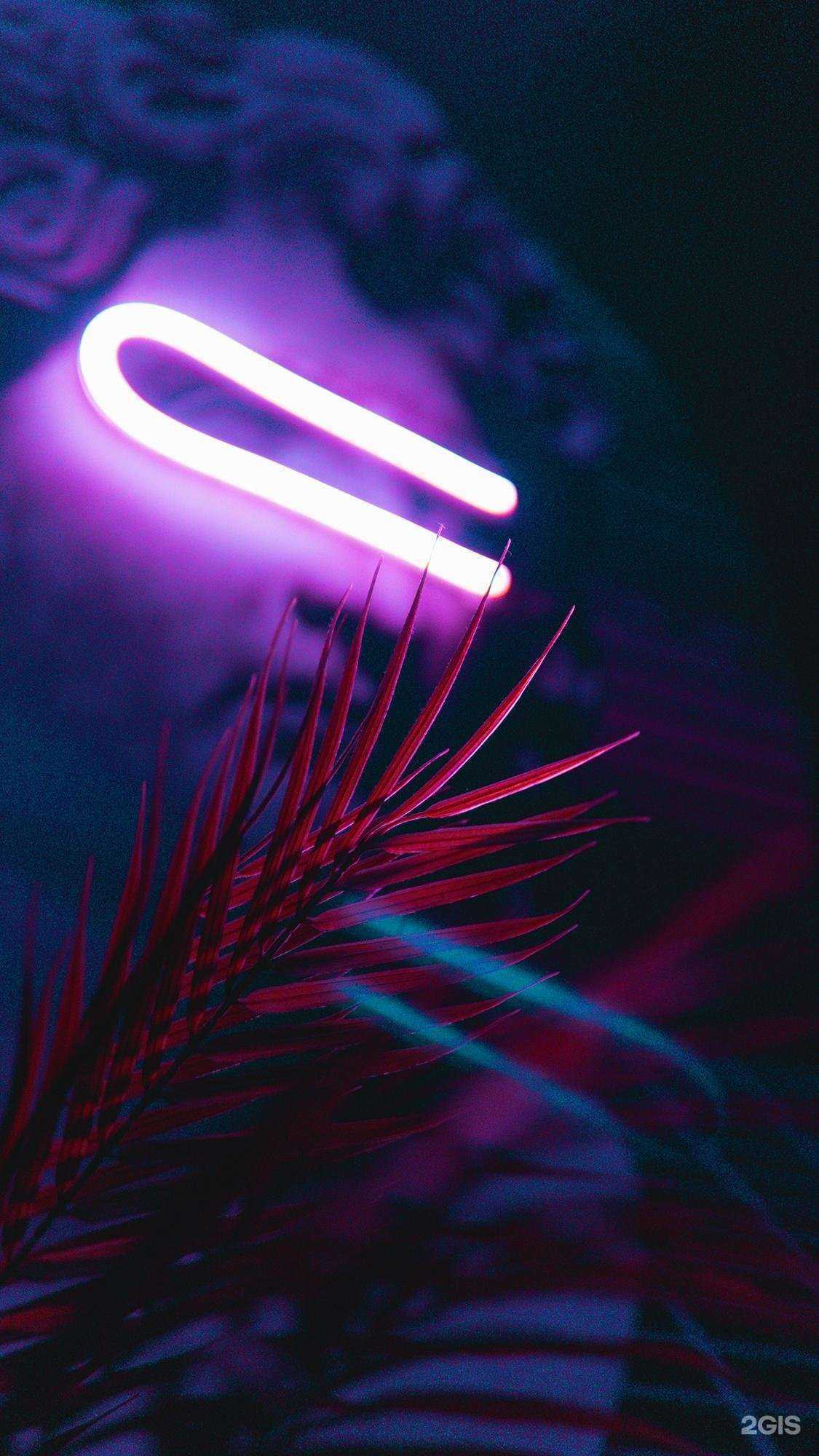 Отзывы на компанию Neon lounge в Перми c фото