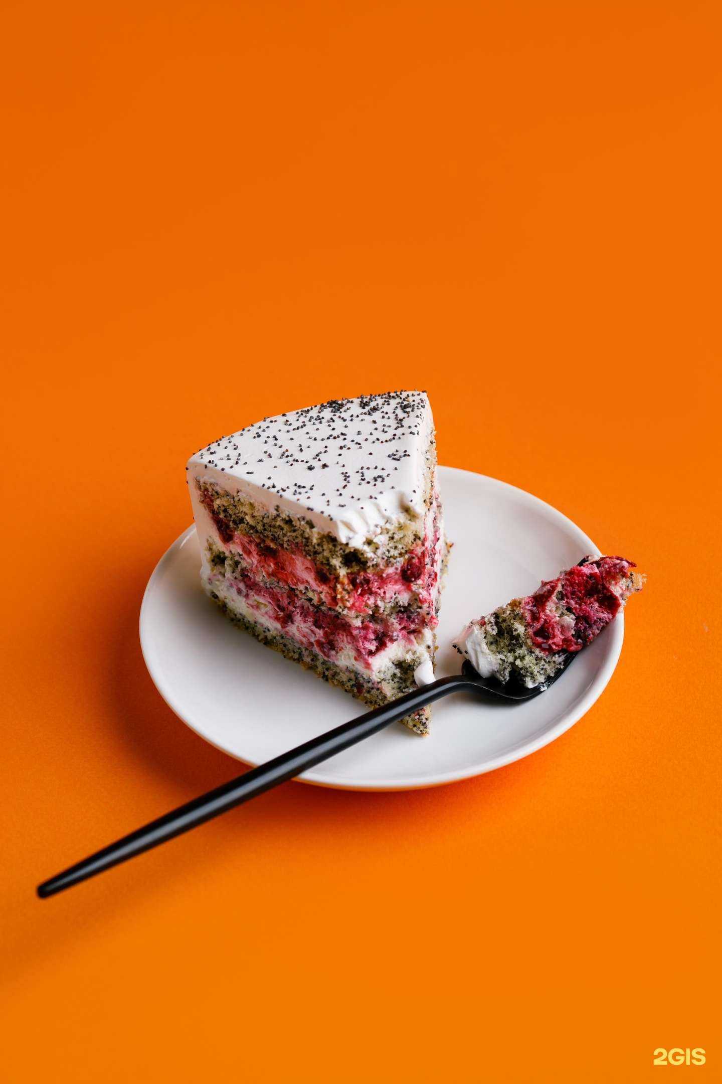 Отзывы на компанию Тесто в Томске c фото