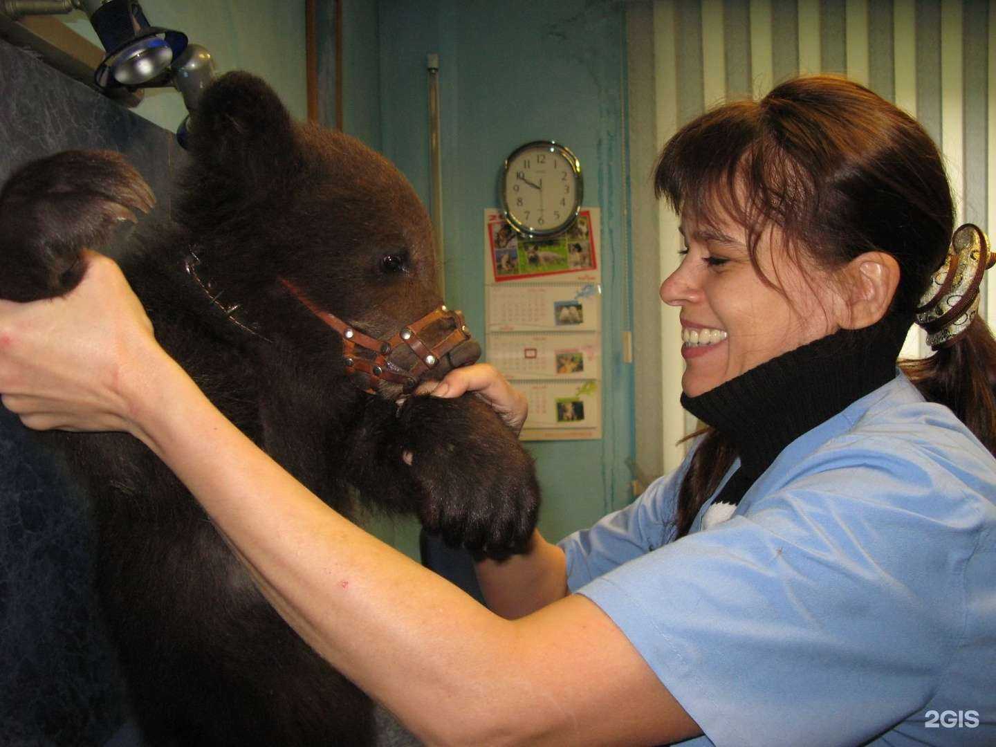 Отзывы на компанию Деал в г. Барнаул c фото