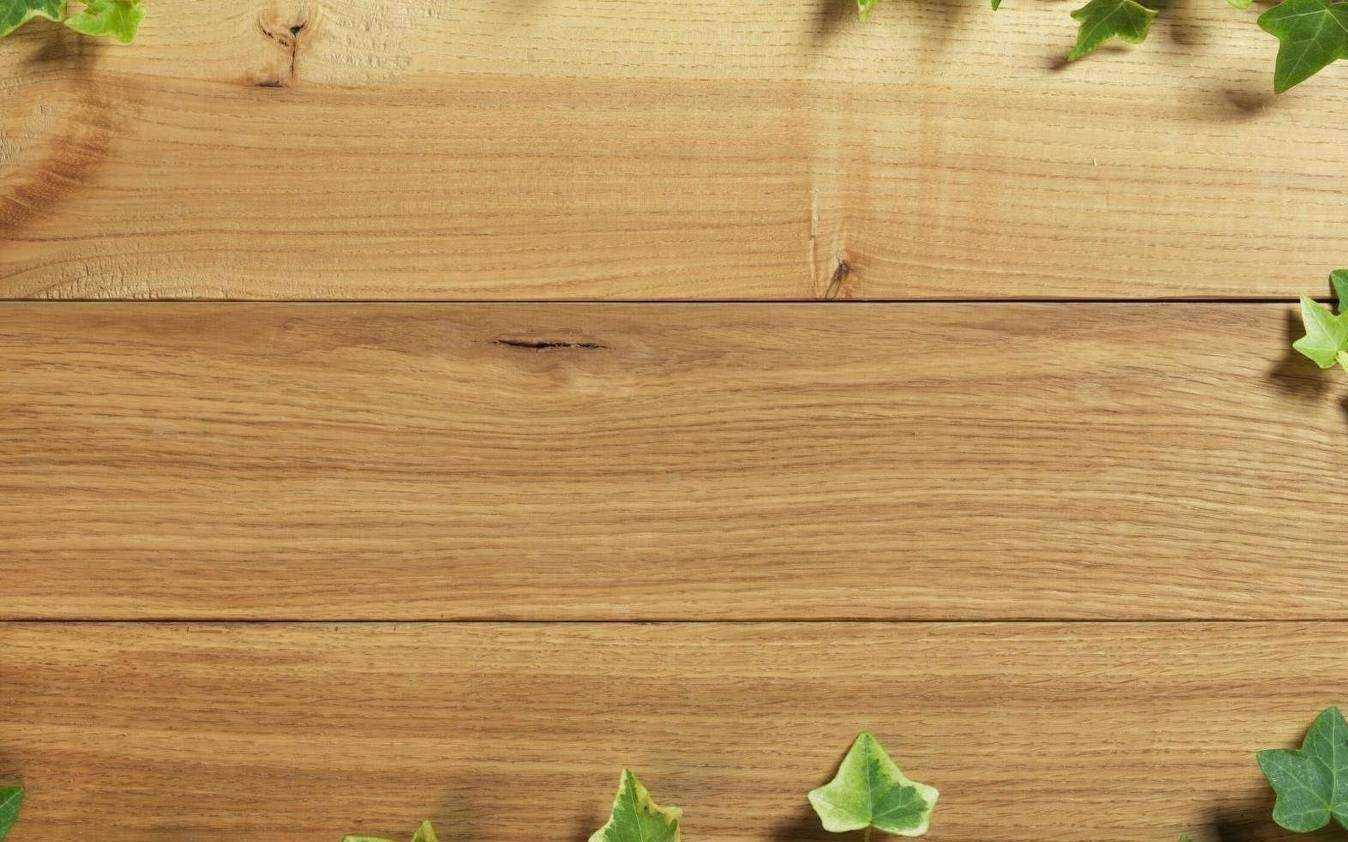 Отзывы на компанию Элитлес в г. Ижевск c фото