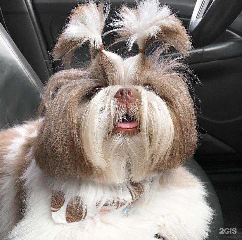 Отзывы на компанию Wow в г. Хабаровск c фото