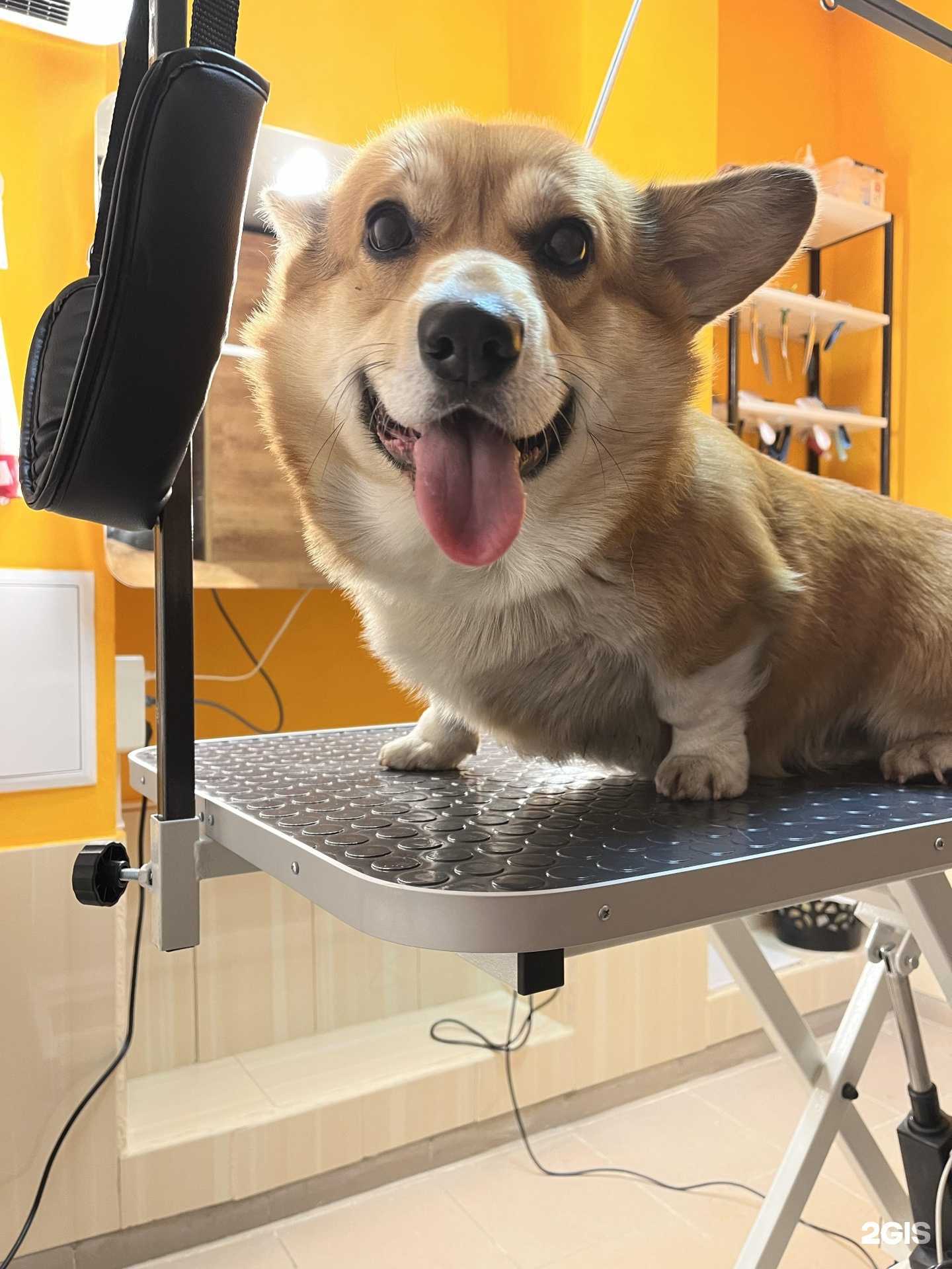 Отзывы на компанию Black_Orange_Kaliningrad в г. Калининград c фото