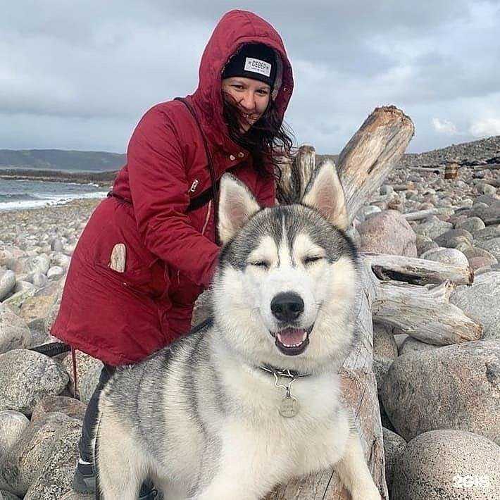 Отзывы на компанию Ultra в г. Мурманск c фото