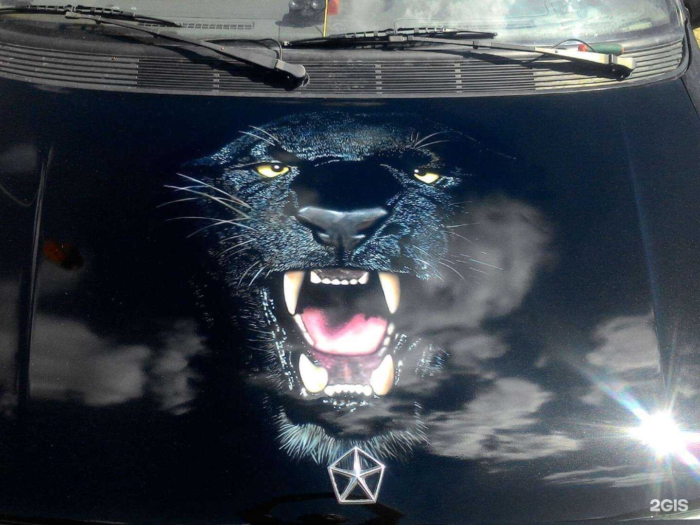 Отзывы на компанию Тополь в Белгороде c фото