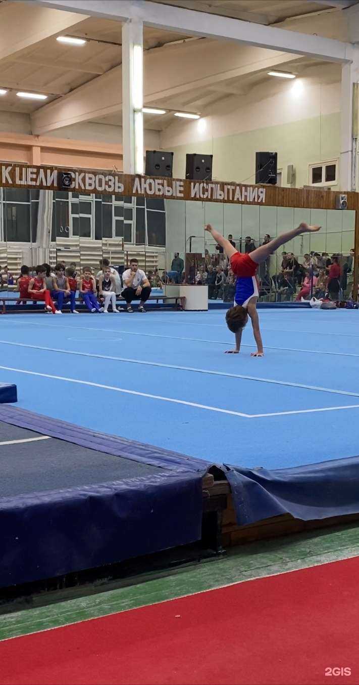 Отзывы на компанию Секция спортивной гимнастики для детей в Красноярске c фото