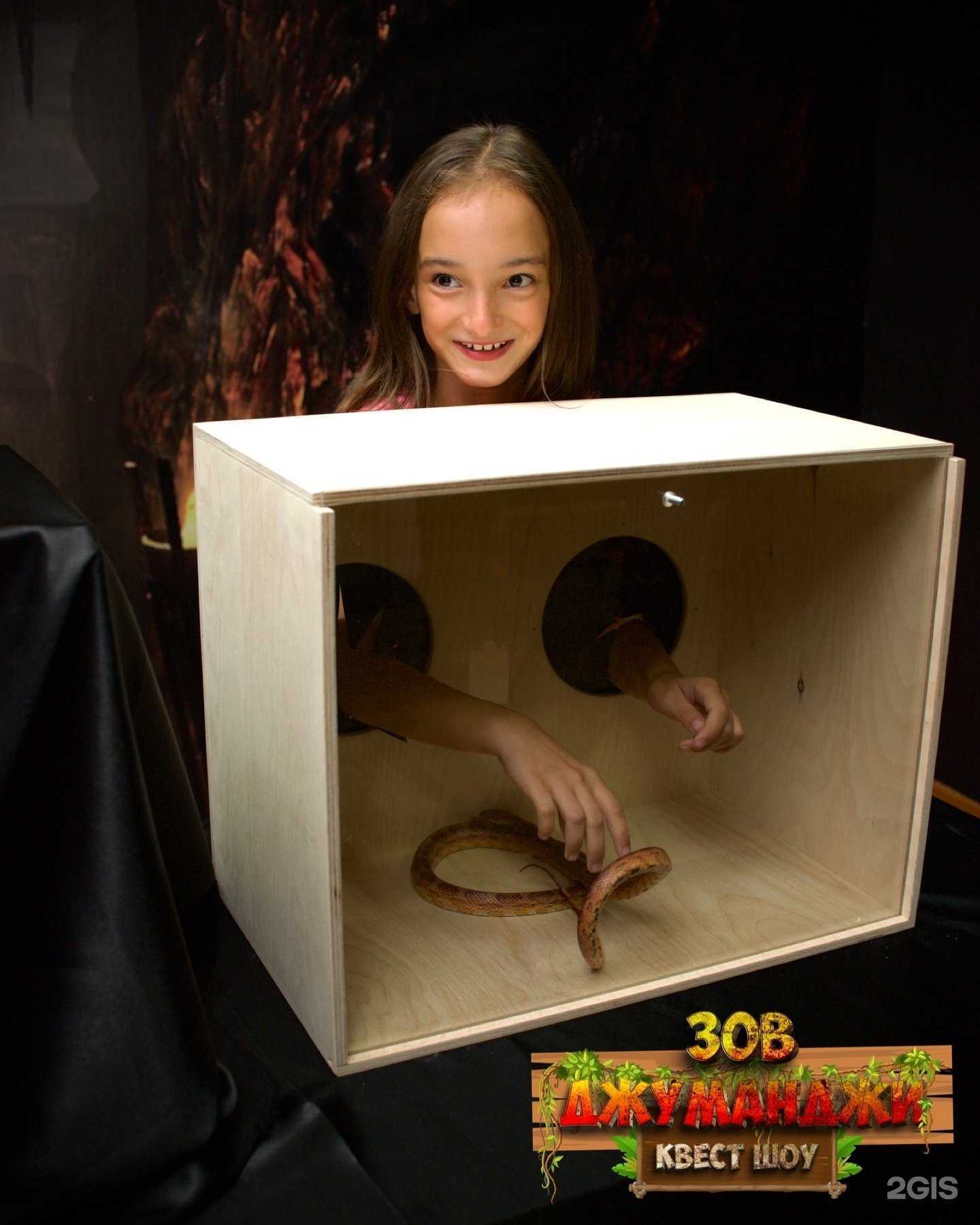 Отзывы на компанию Зов Джуманджи в г. Великий Новгород c фото