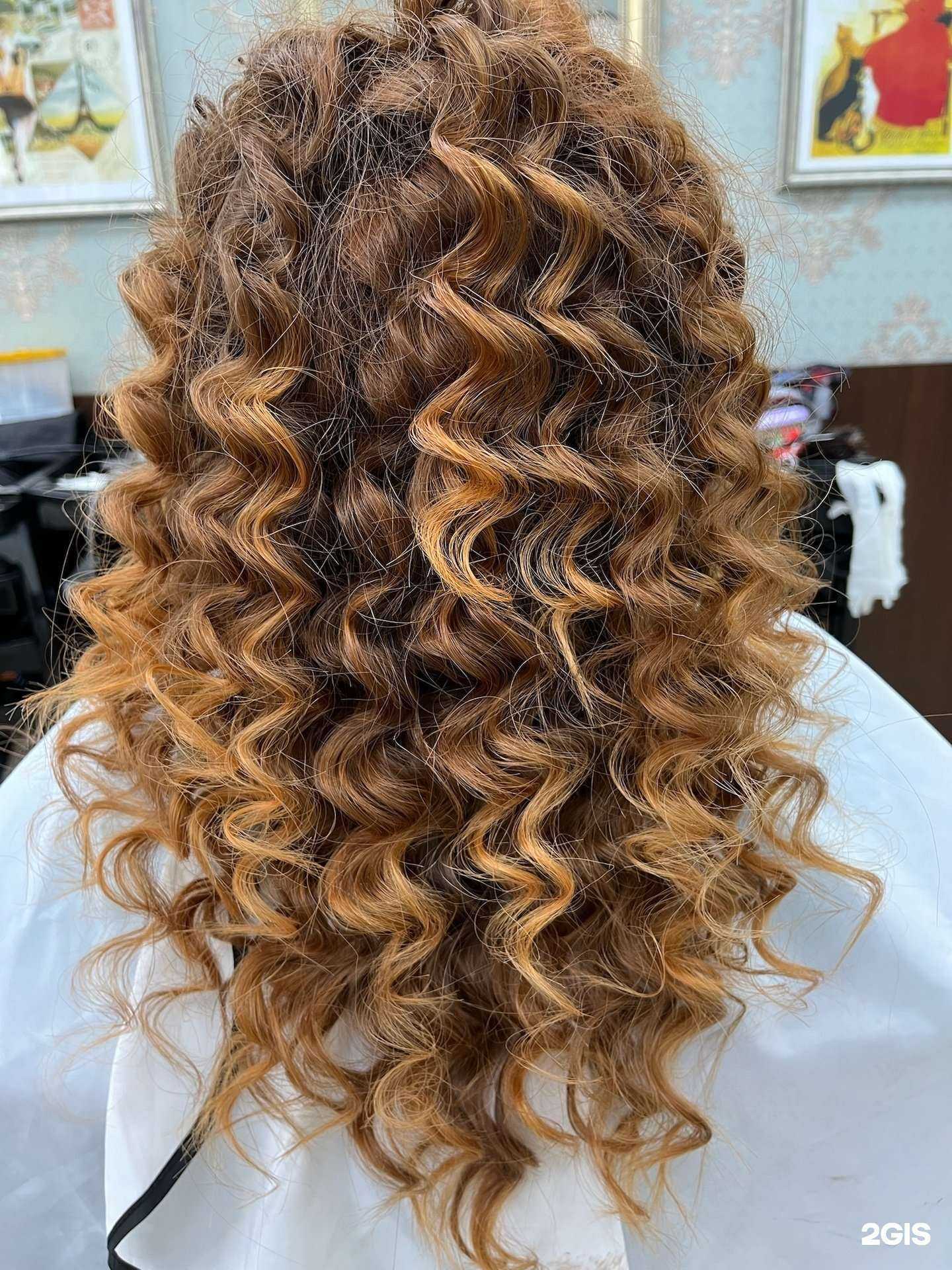 Отзывы на компанию Персона в Сочи c фото