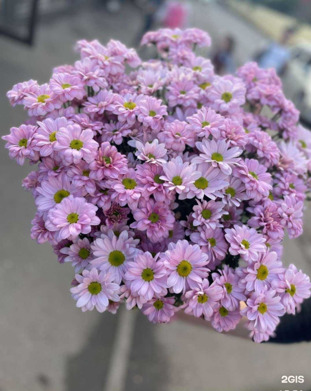 Отзывы на компанию Цветочный магазин в Краснодаре c фото