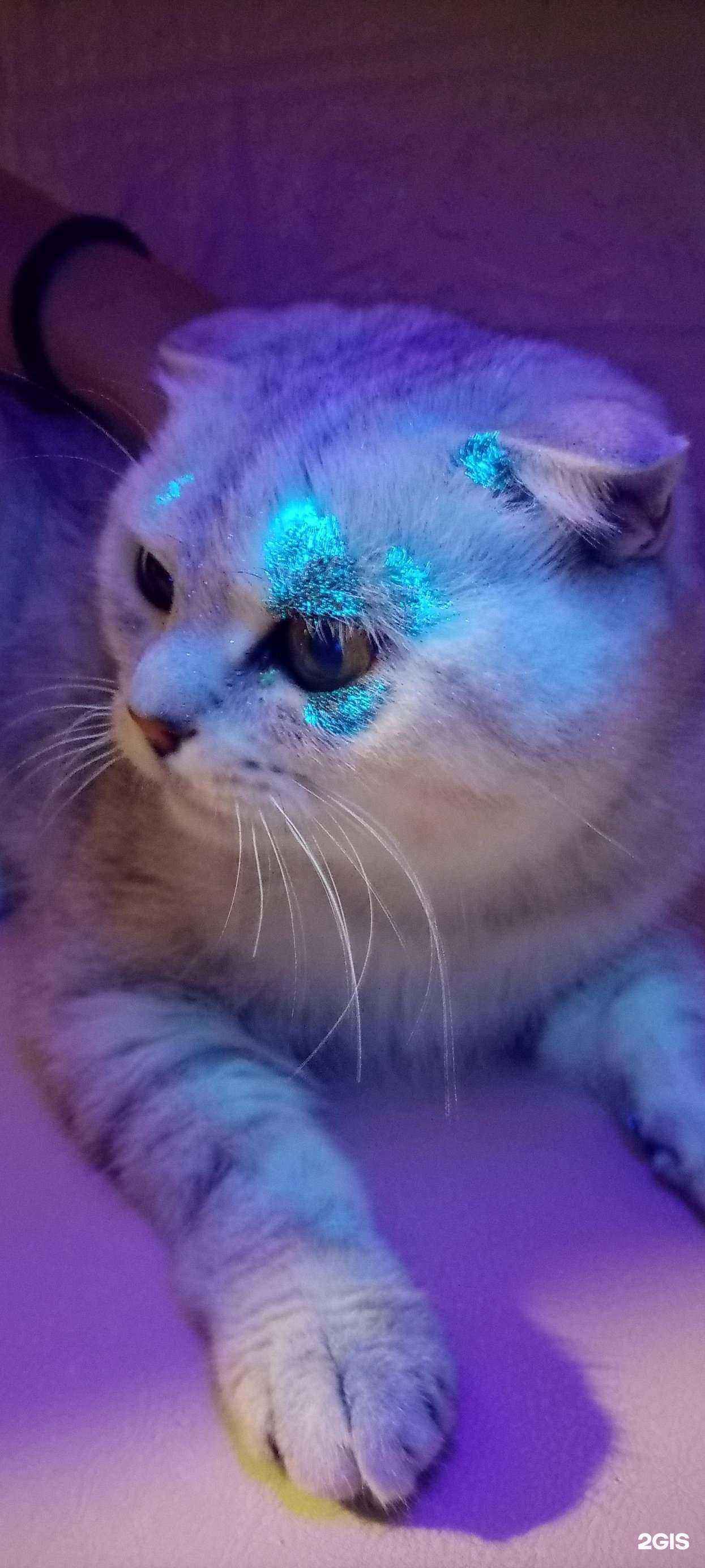 Отзывы на компанию Зоолайф в г. Набережные Челны c фото