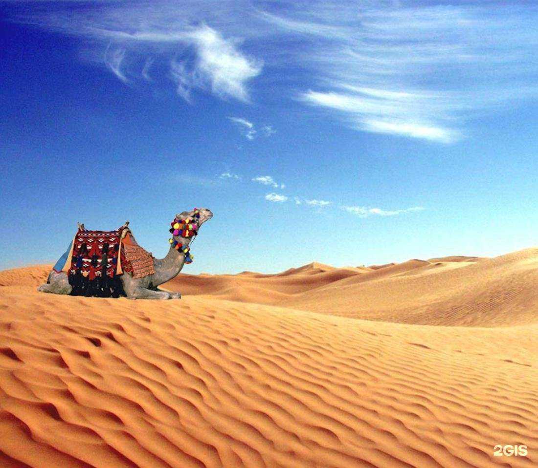 Отзывы на компанию Облдорснаб в Белгороде c фото