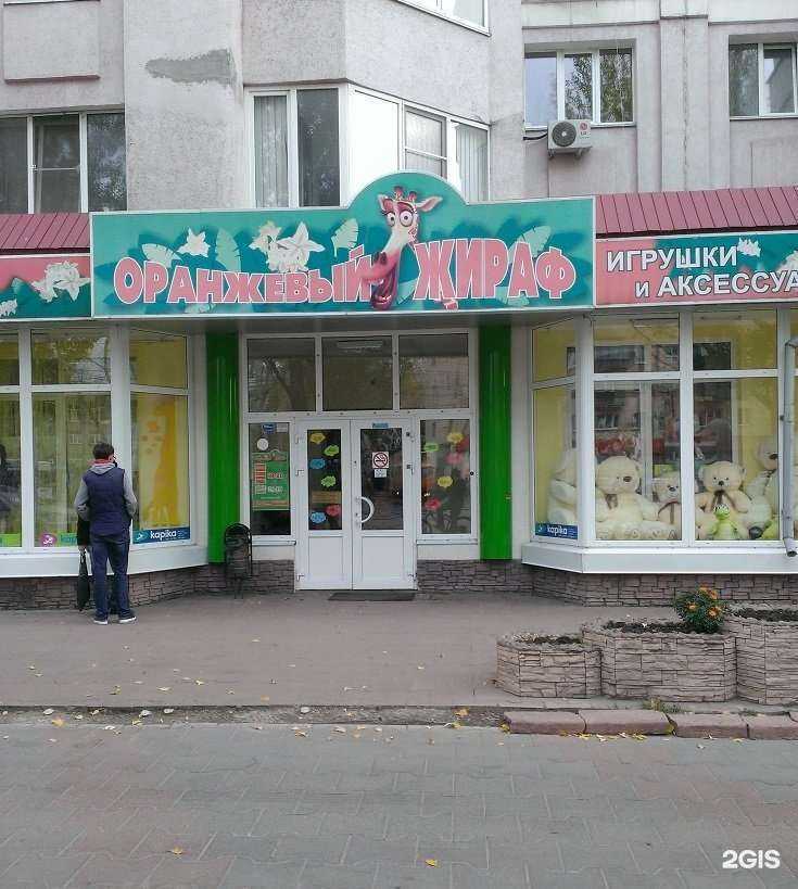 Отзывы на компанию Оранжевый жираф в Липецке c фото