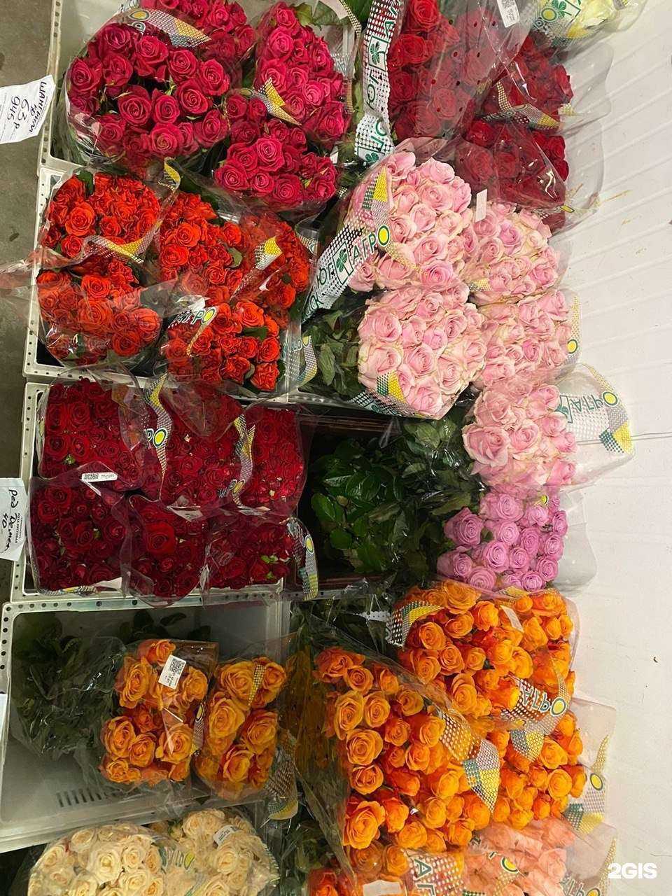 Отзывы на компанию Юг-Агро в Воронеже c фото