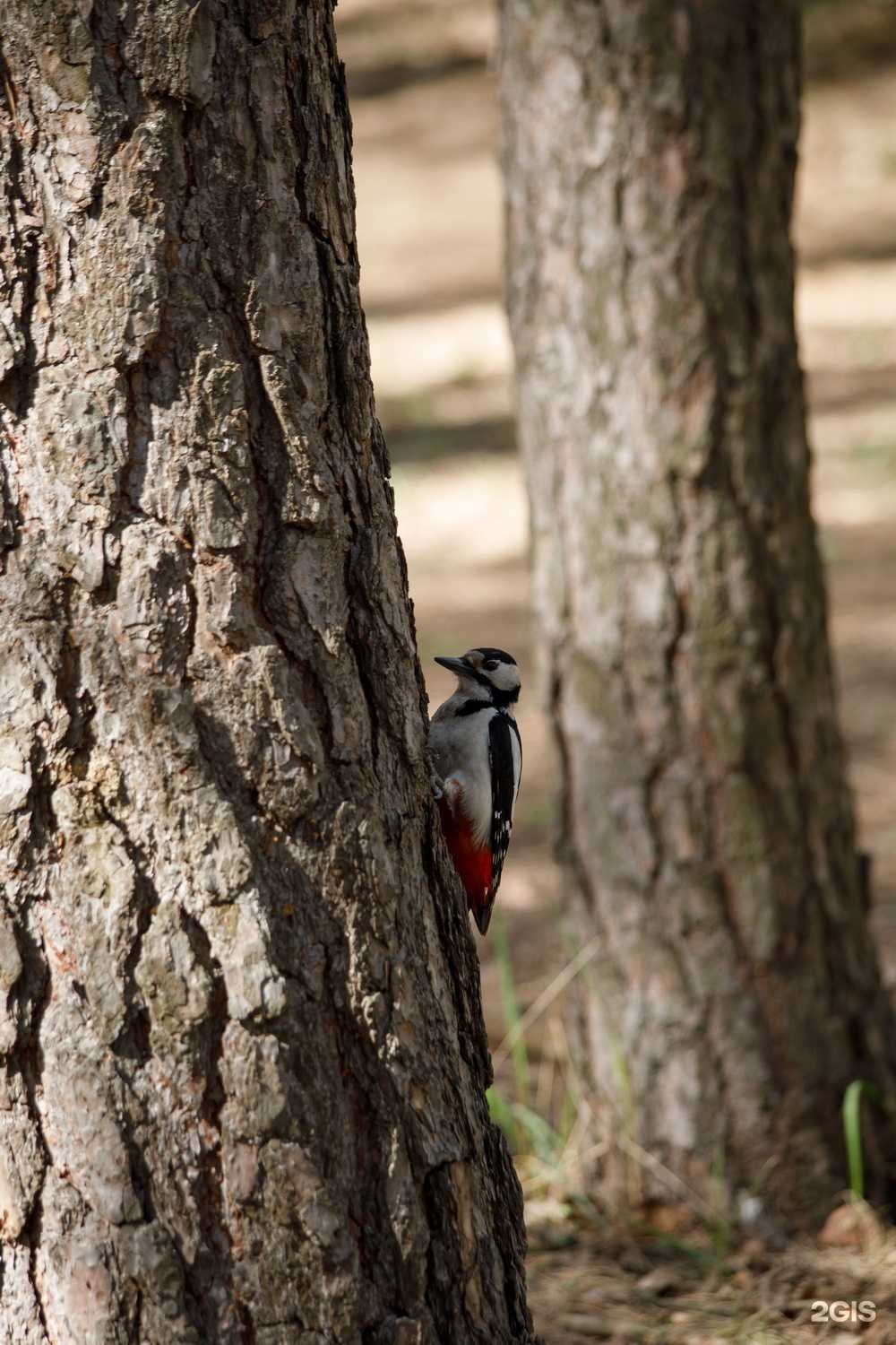 Отзывы на компанию Танаис в Воронеже c фото