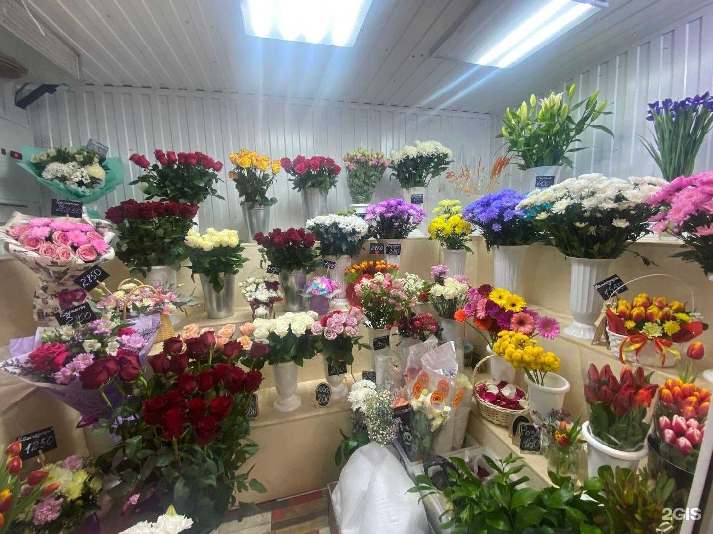 Отзывы на компанию Сибирские Цветы в Новосибирске c фото