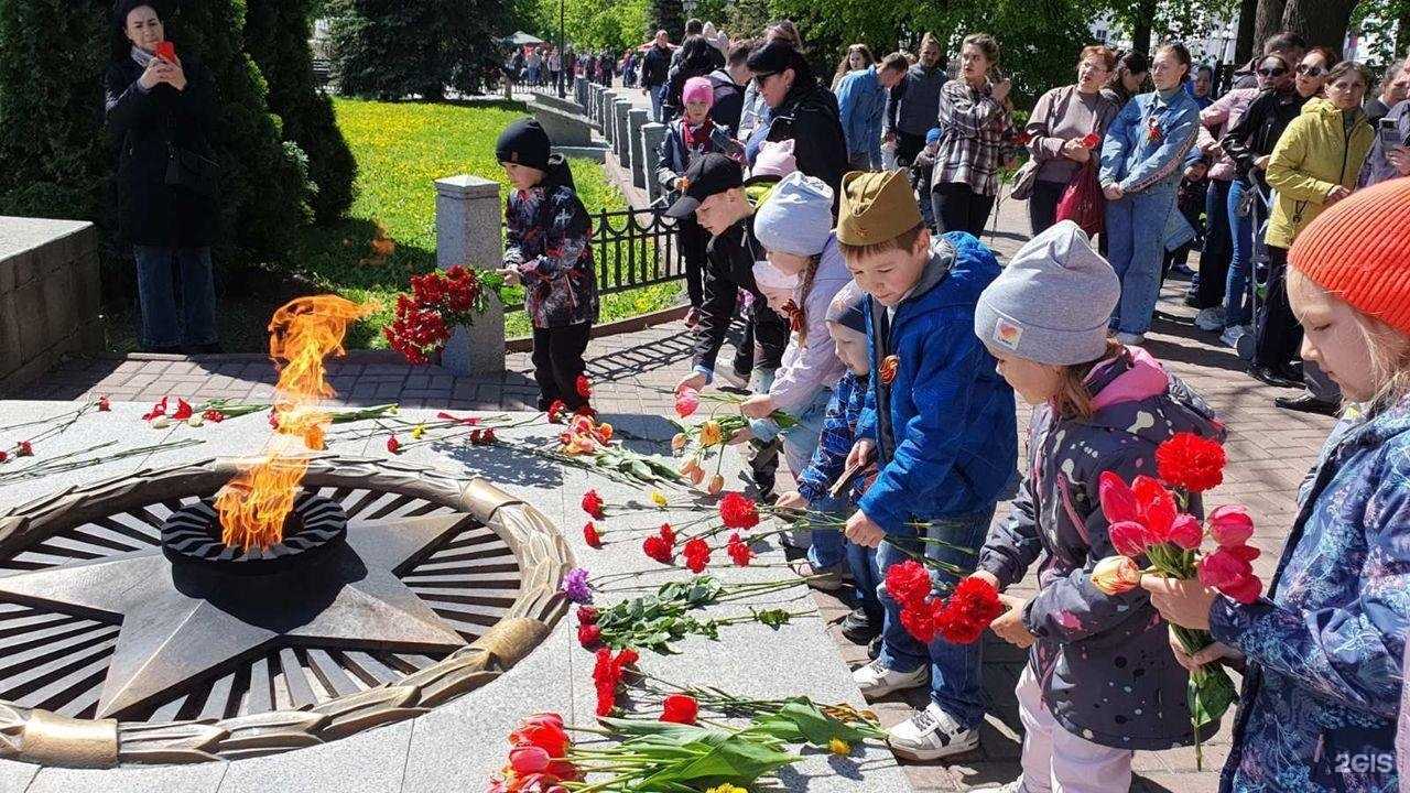 Отзывы на компанию Алиса в Ульяновске c фото