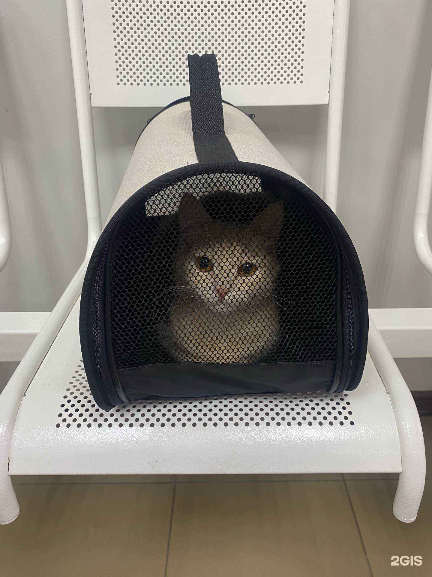 Отзывы на компанию Арника в г. Новосибирск c фото