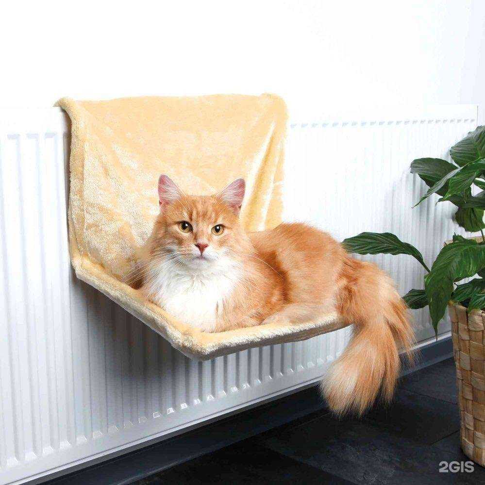 Отзывы на компанию ZебраЖираф в г. Вологда c фото