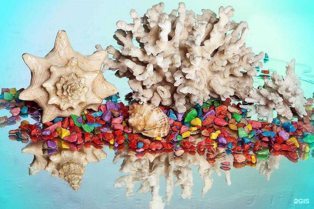 Отзывы на компанию Фотостудия Павла Кувшинникова в Новосибирске c фото