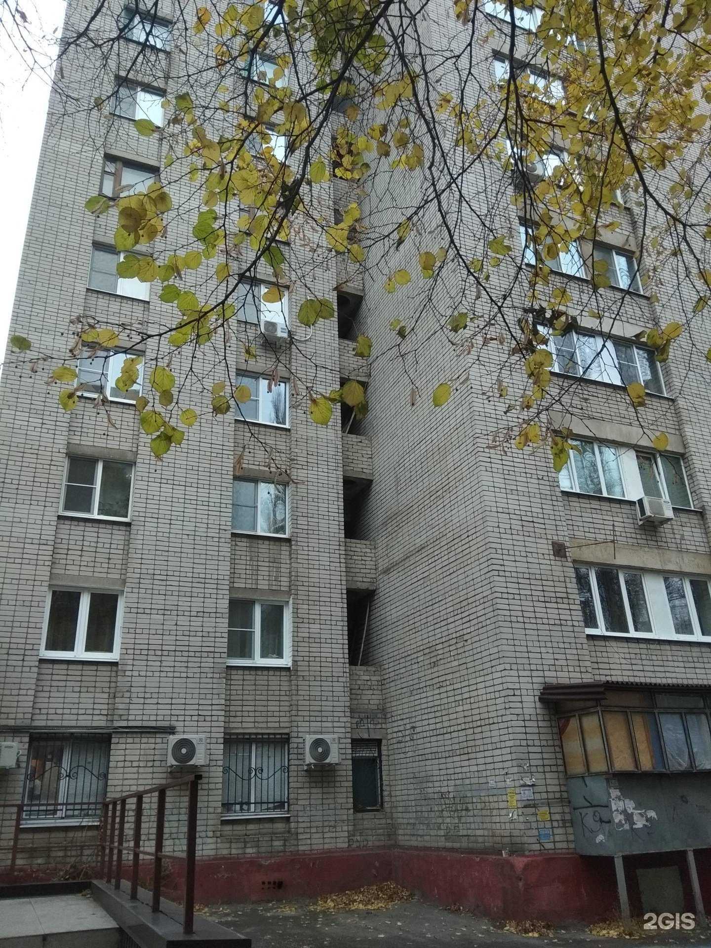 Отзывы на компанию Ветеринарный лазарет в Липецке c фото - фотография 2 из 2