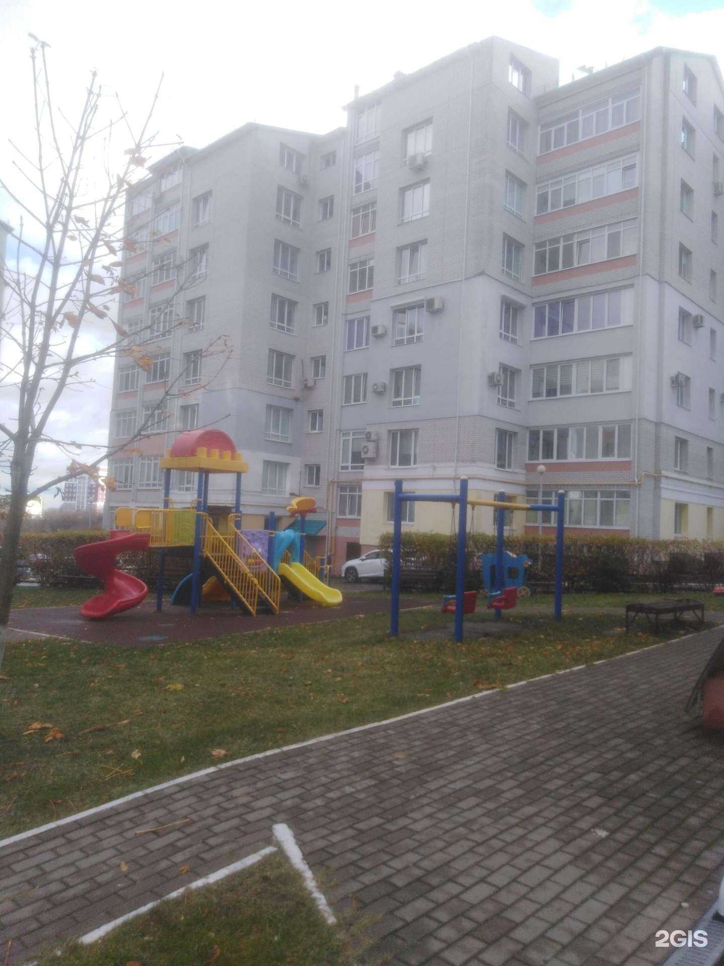 Отзывы на компанию Picasso в Брянске c фото - фотография 2 из 2