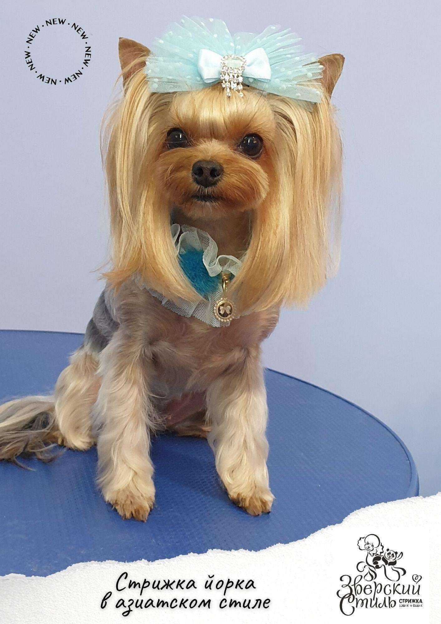 Отзывы на компанию Зверский стиль в Магнитогорске c фото