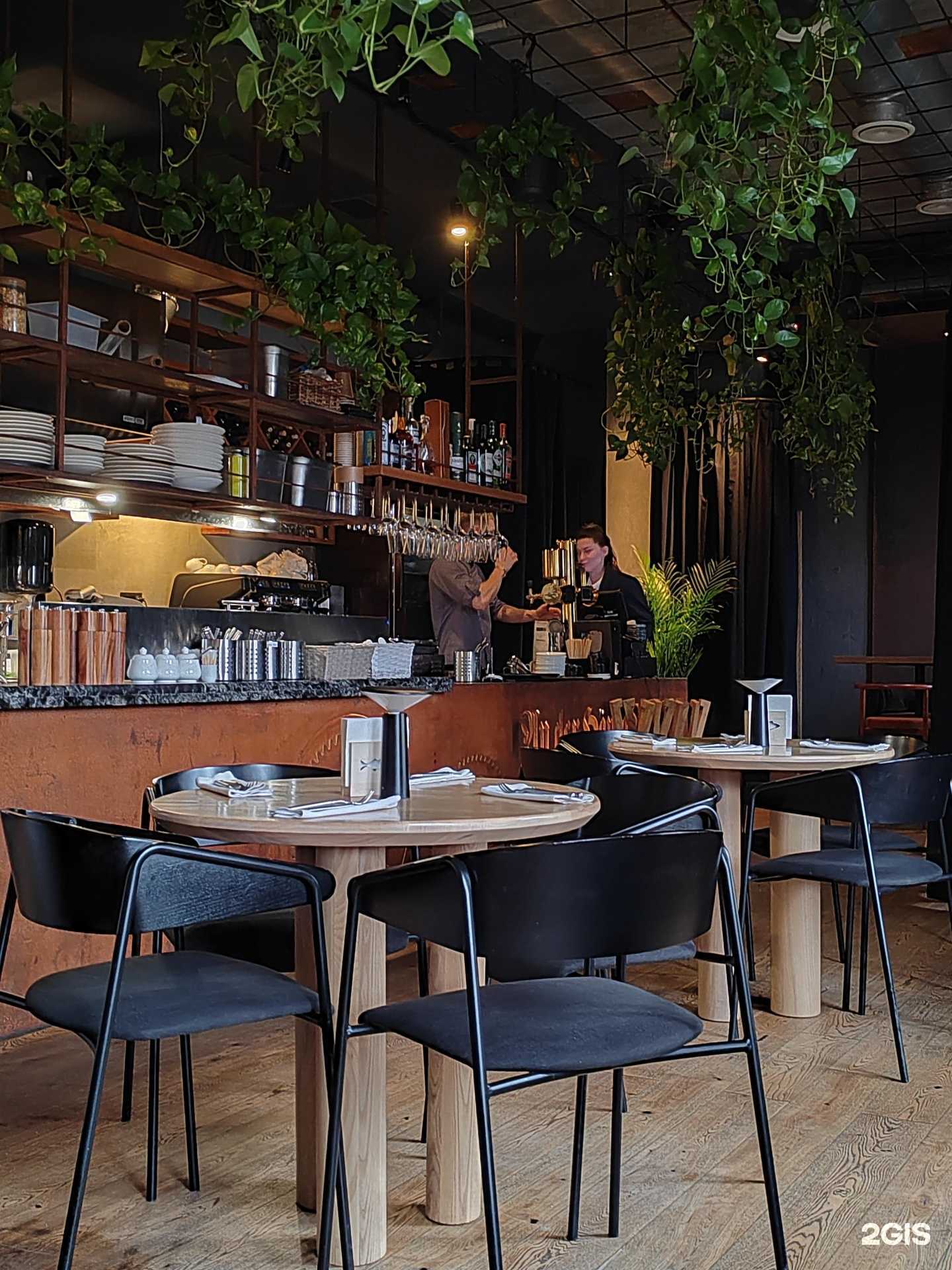 Отзывы на компанию Судак в г. Калининград c фото