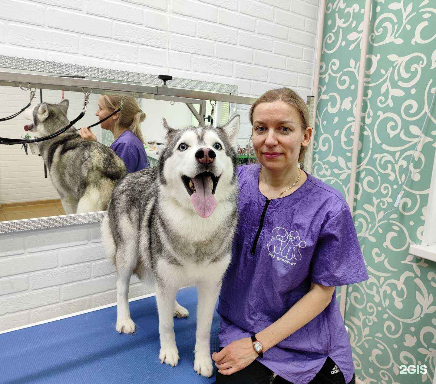 Отзывы на компанию Гансик в Ульяновске c фото