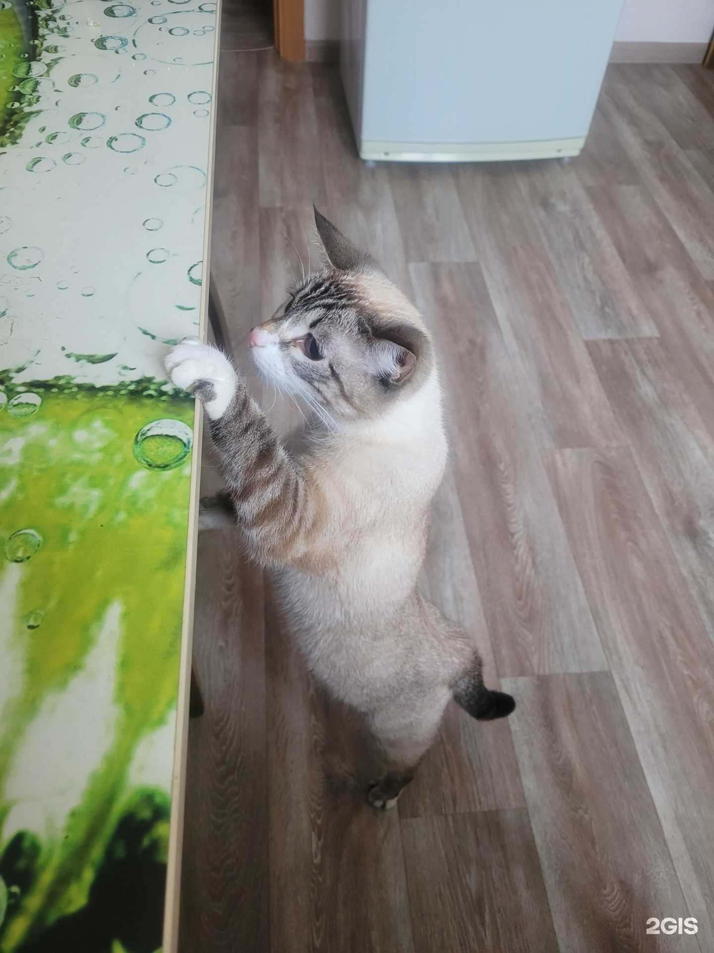 Отзывы на компанию ВетДоктор в Янауле c фото