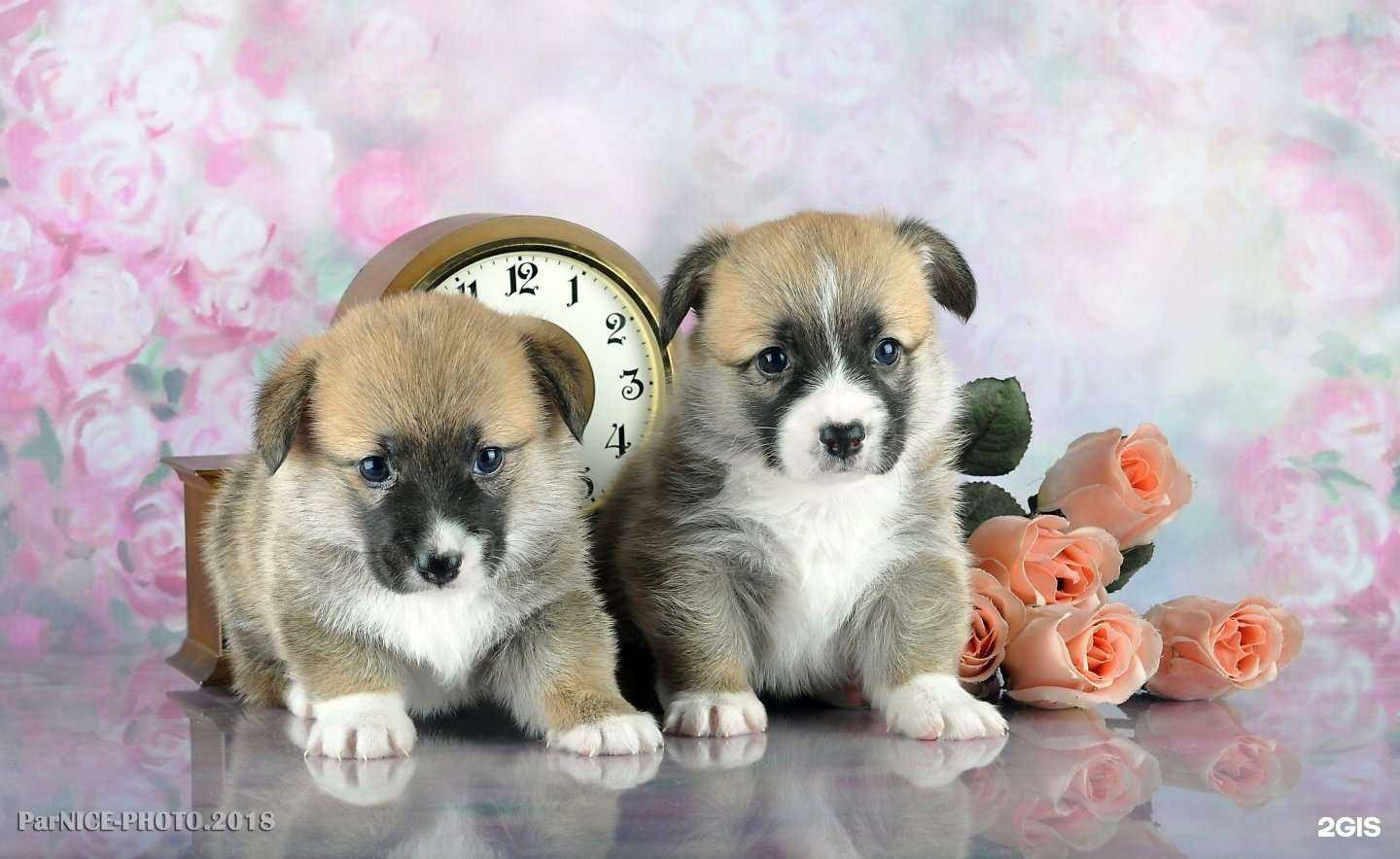 Отзывы на компанию List aus Garten в г. Тула c фото