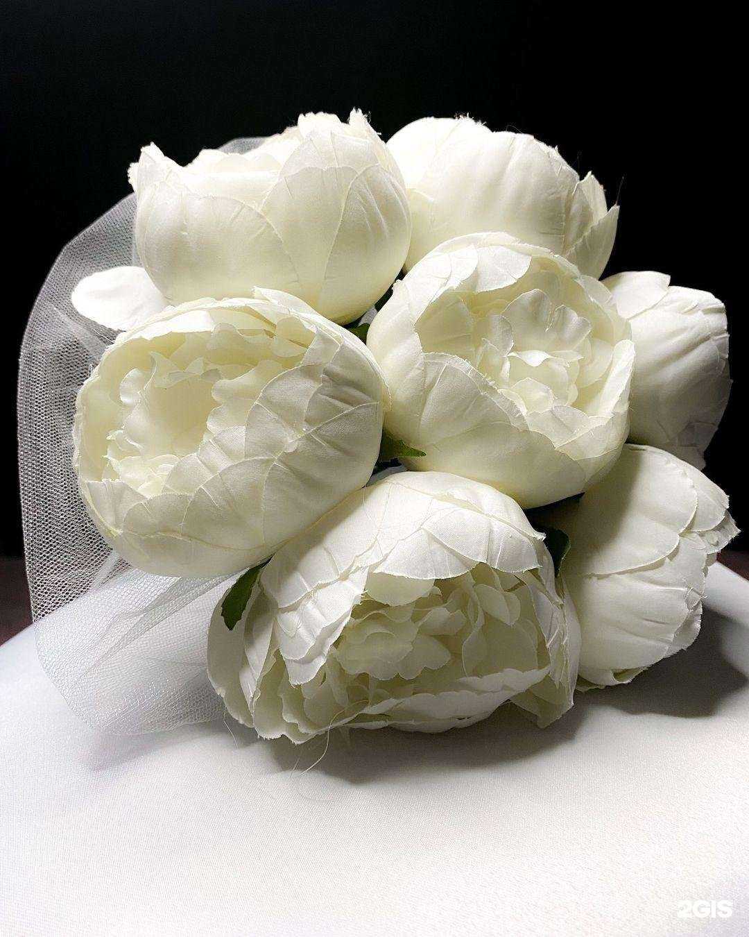 Отзывы на компанию Anastasia в Йошкар-Оле c фото