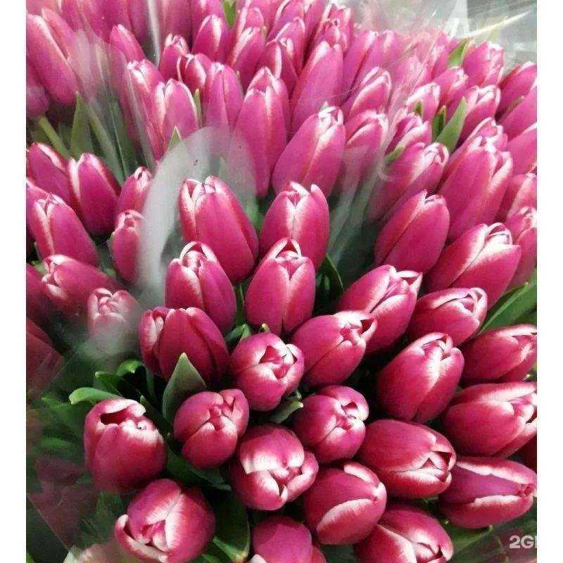 Отзывы на компанию Империя в г. Тихорецк c фото