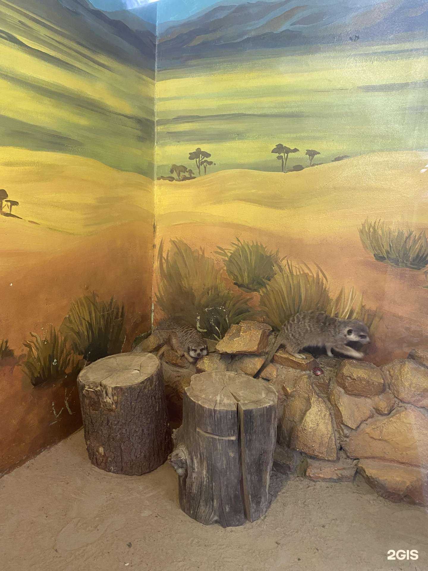 Отзывы на компанию Детская экологическая станция в Новом Уренгое c фото