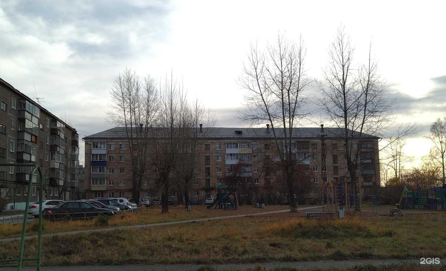 Отзывы на компанию sharik_nt_ в Нижнем Тагиле c фото - фотография 2 из 2