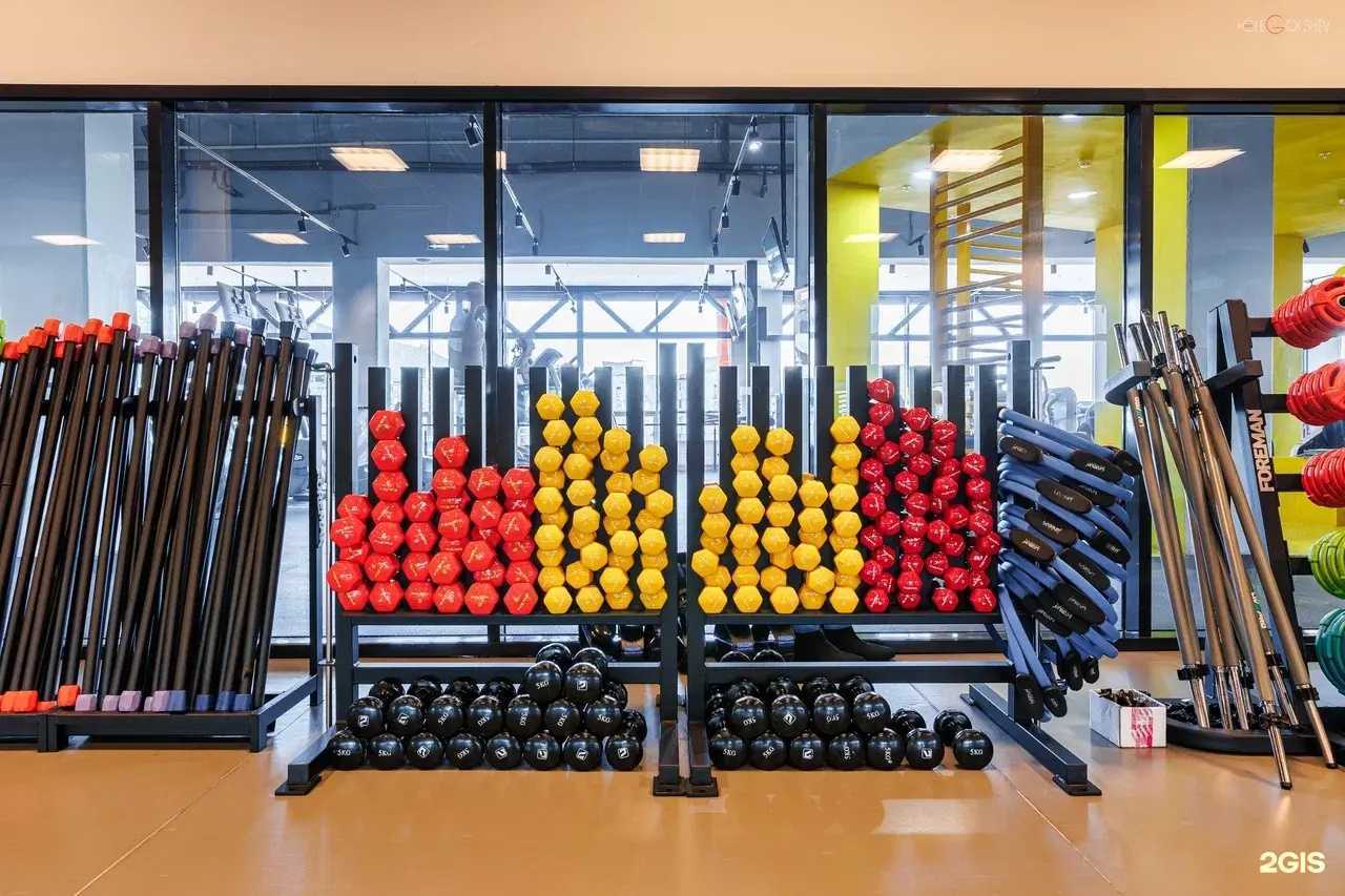 Отзывы на компанию Alex fitness в Пятигорске c фото