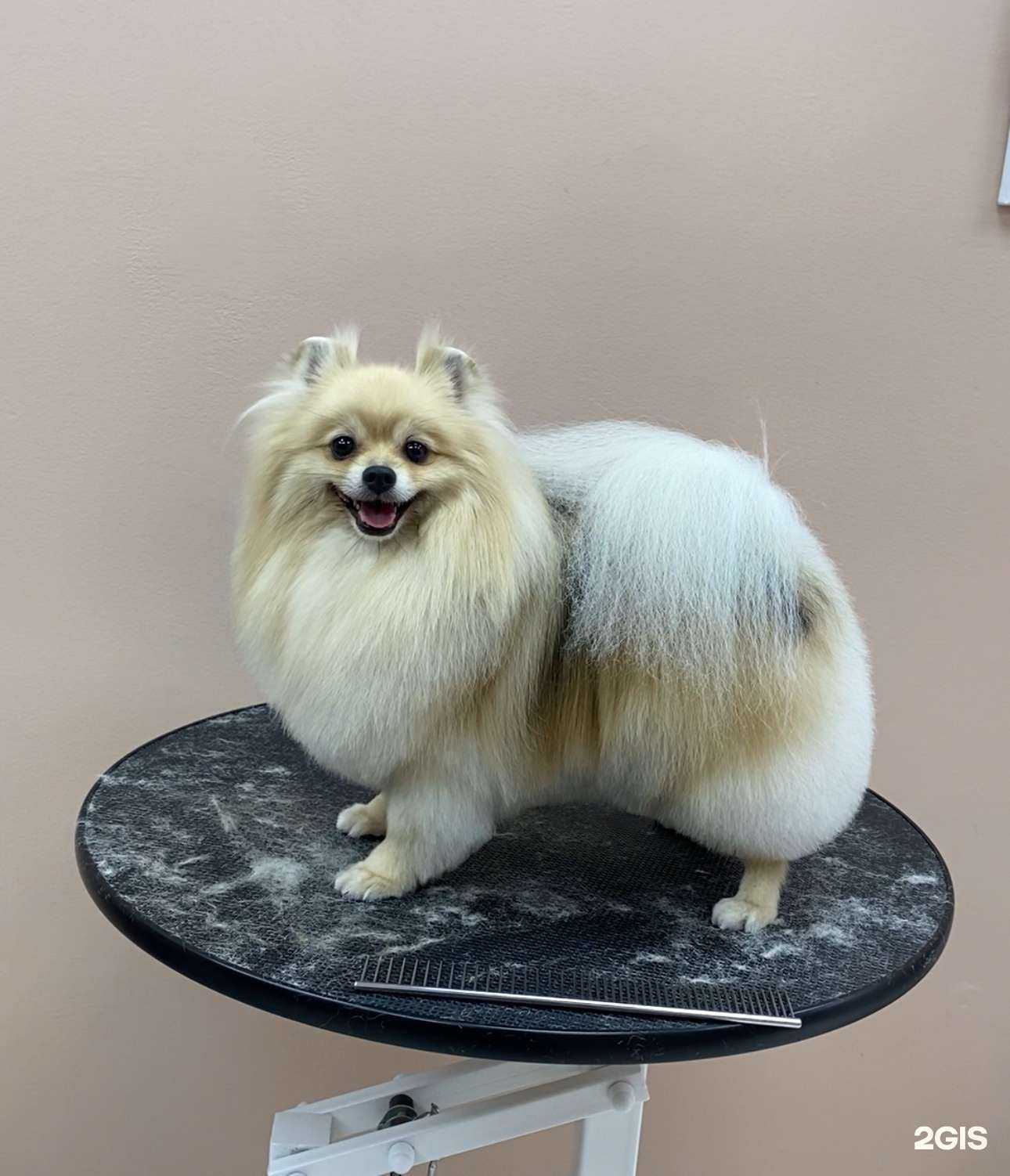 Отзывы на компанию Ваугрум в г. Самара c фото