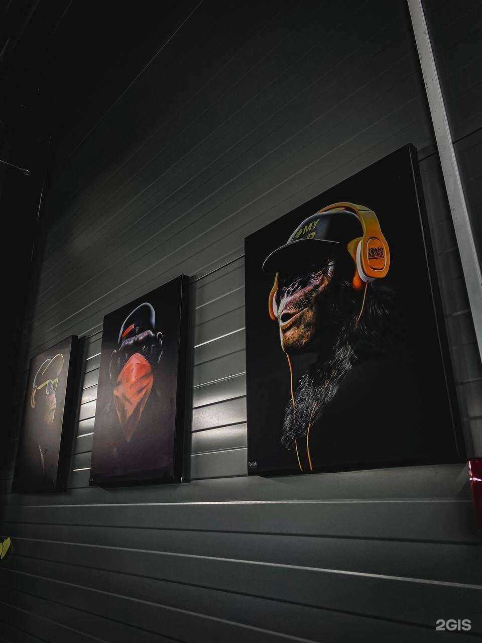 Отзывы на компанию Alligator в Омске c фото