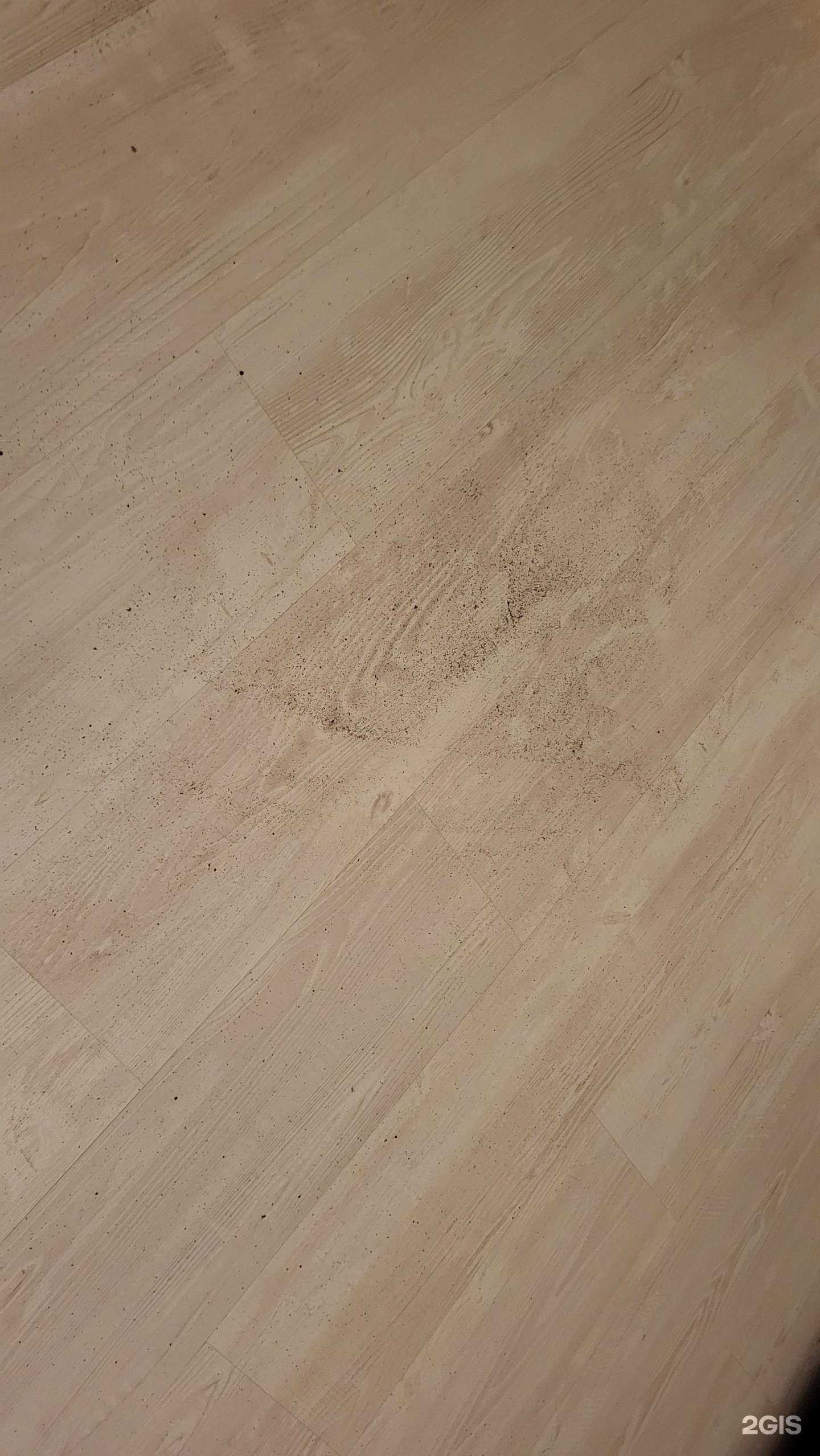 Отзывы на компанию Енисей в Красноярске c фото