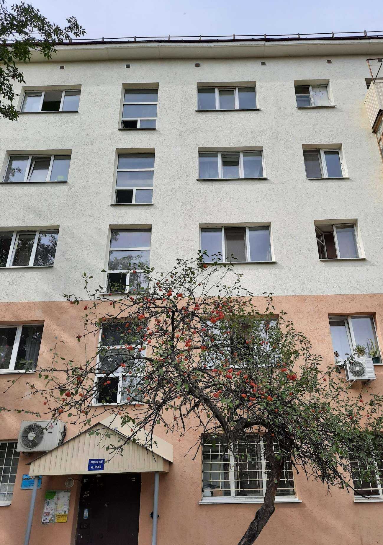 Отзывы на компанию Вита Экспресс в Уфе c фото - фотография 2 из 2