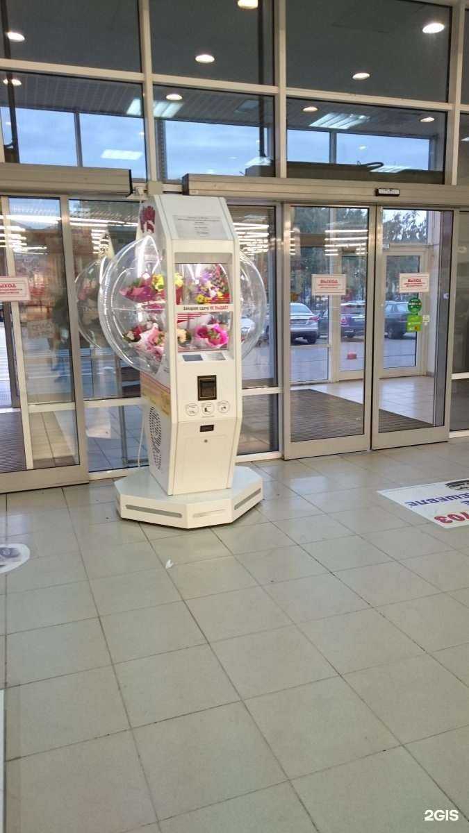 Отзывы на компанию Глобус в Тамбове c фото