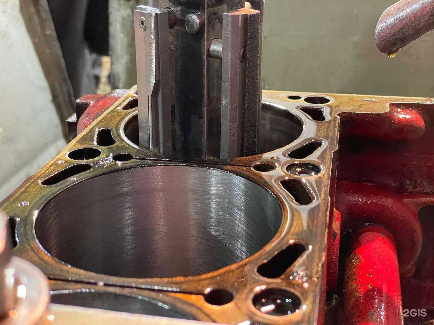 Отзывы на компанию Тамбовский волк в г. Чебоксары c фото