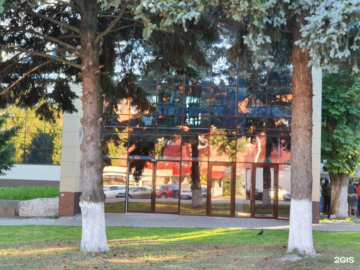 Отзывы на компанию Финик в Железногорске c фото - фотография 2 из 2