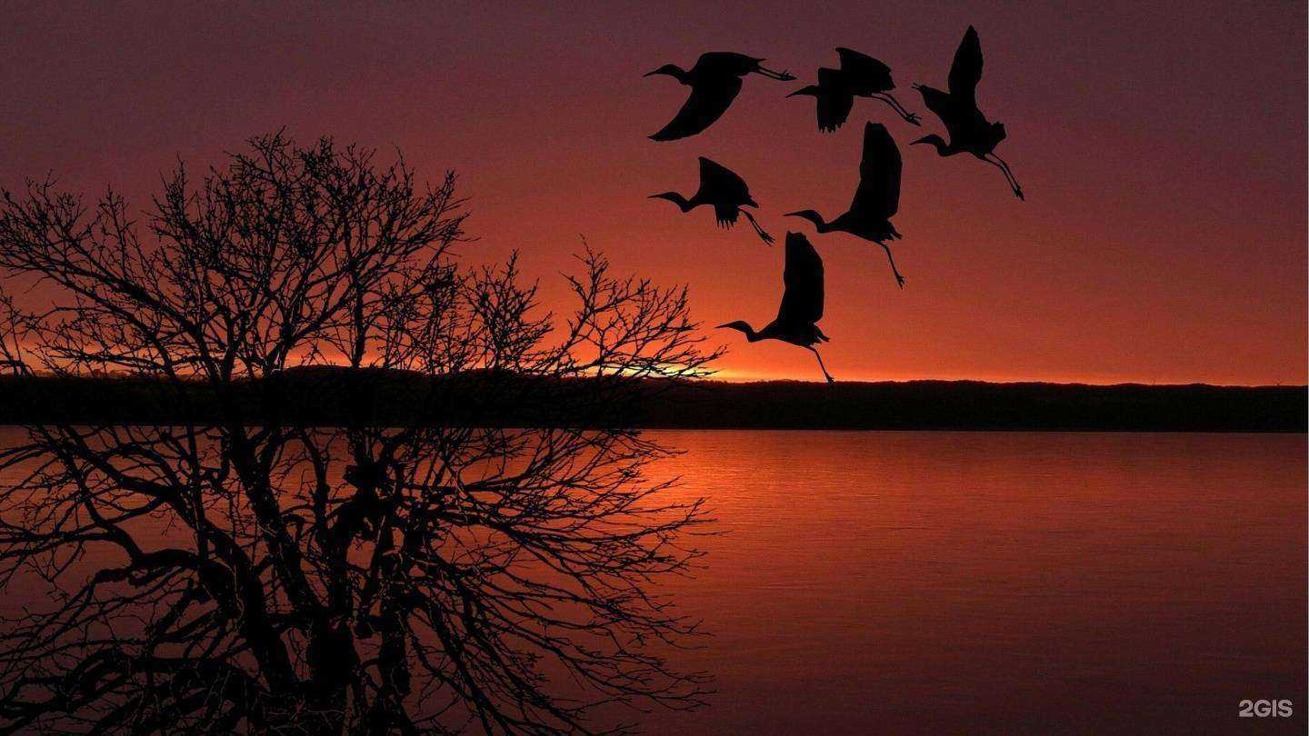 Отзывы на компанию Белорусские кухни Vogelbaum в г. Краснодар c фото