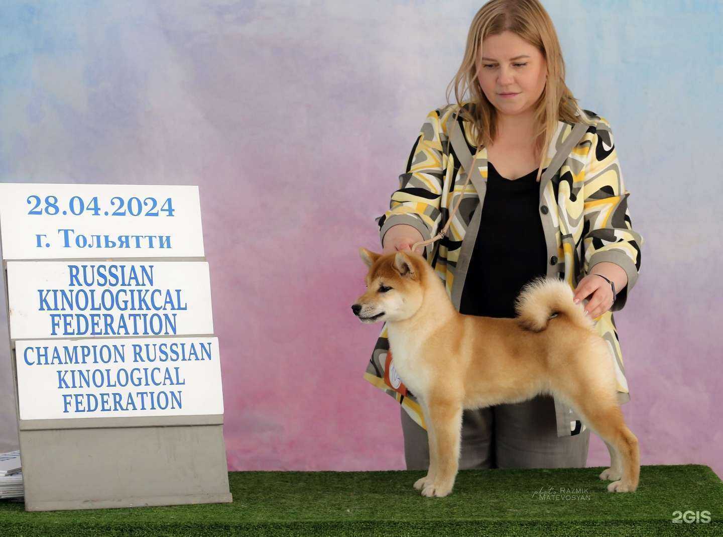 Отзывы на компанию Импульс в Самаре c фото