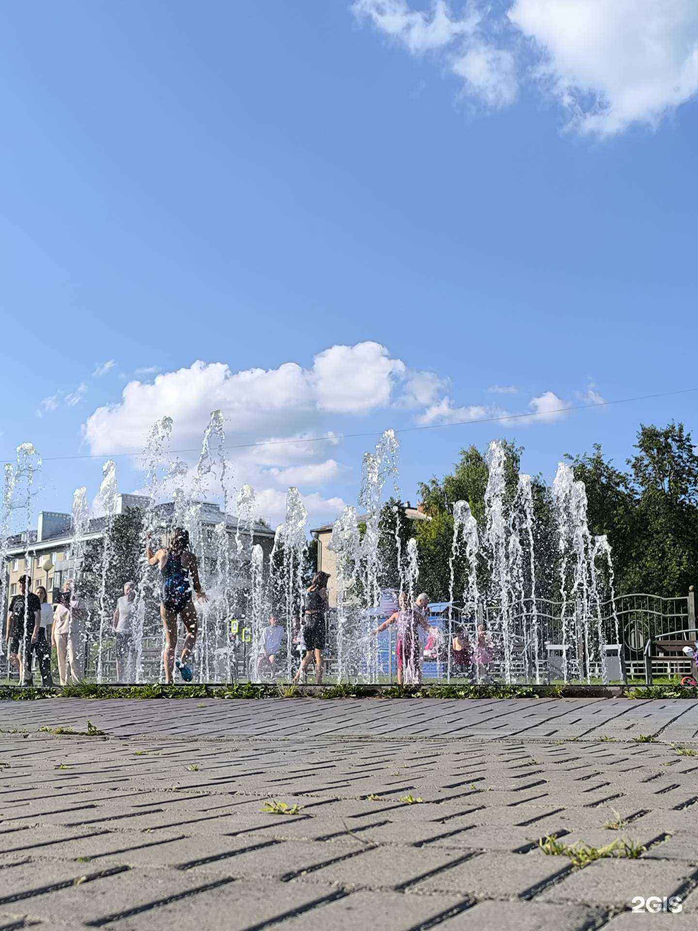 Отзывы на компанию Олимпия в Северске c фото