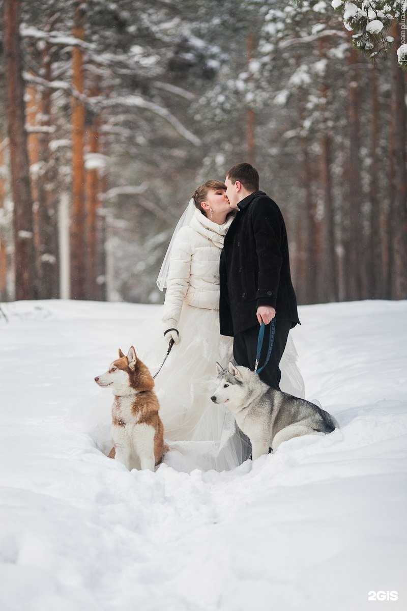 Отзывы на компанию Altay spirit в Барнауле c фото