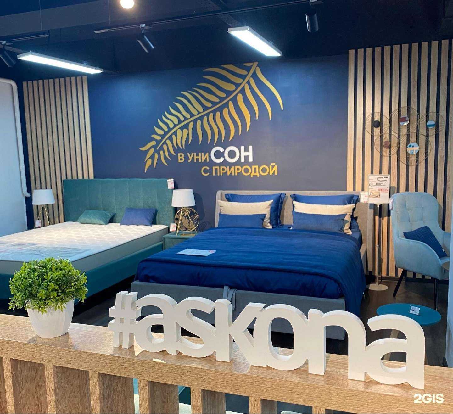 Отзывы на компанию Аскона в Черногорске c фото